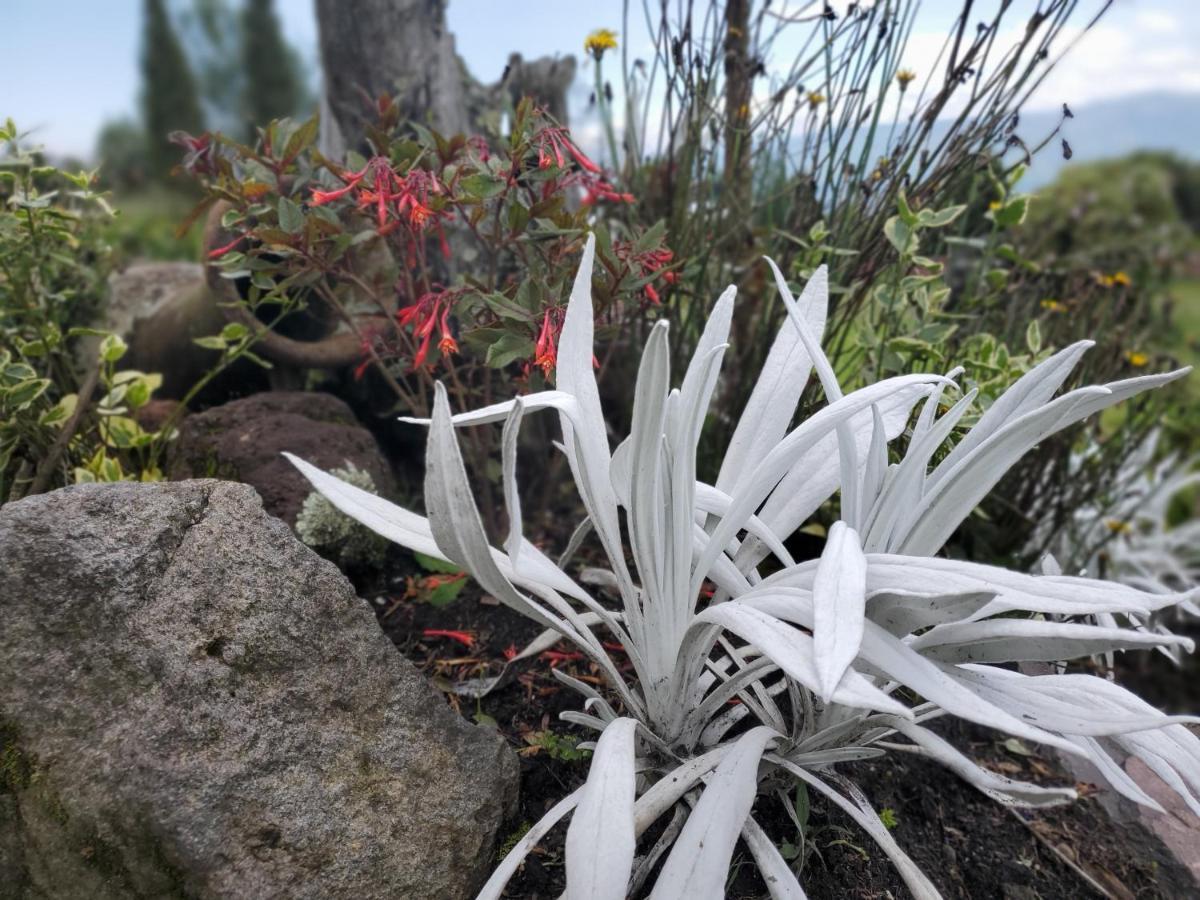 Balcon Al Cotopaxi Hosteria Sangolquí Exteriér fotografie
